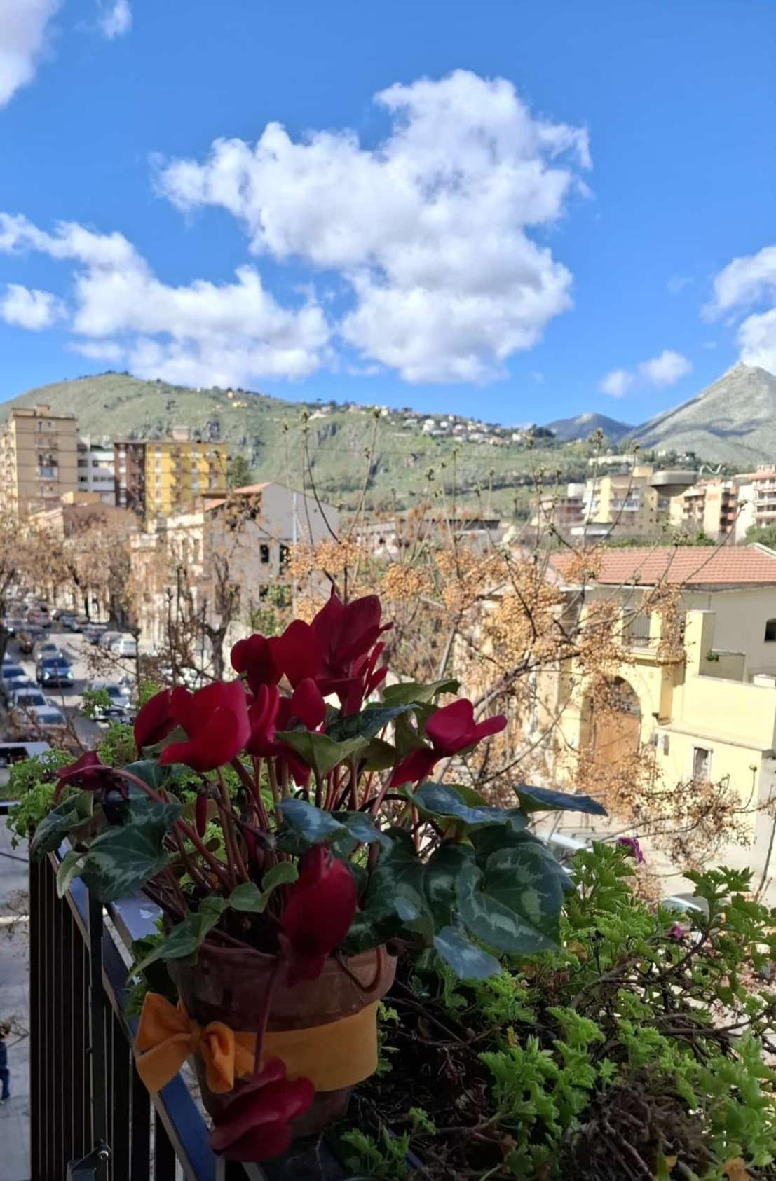 パレルモCasa Da Gianninaアパートメント エクステリア 写真